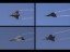 air140047